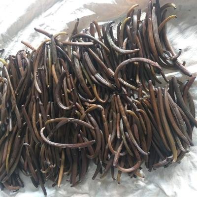 Vanilla Pods Dried 090148 960
