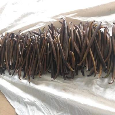 Vanilla Pods Dried 090819 940