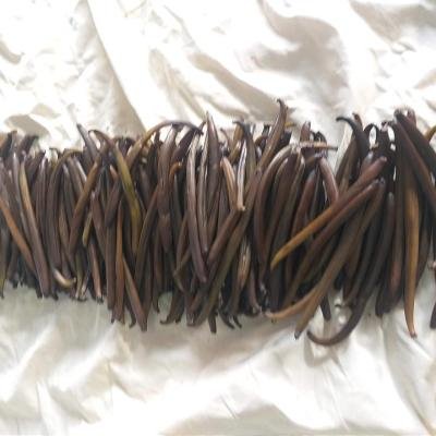 Vanilla Pods Dried 091413 960
