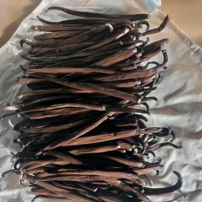 20230125vanilla Pod Fermentation4 960