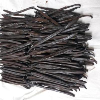 Vanilla Pod Fermentation 063648 960
