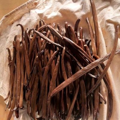 Vanilla Pod Fermentation 081135 960