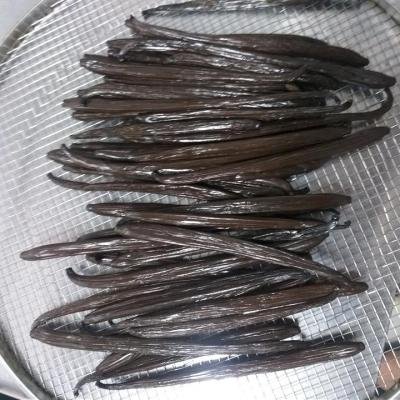 Drying Vanilla Pods 074915 960