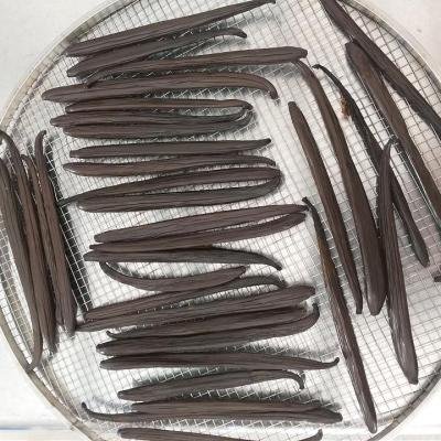 Drying Vanilla Pods 091922 960