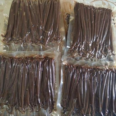 Vanilla Pod Storage 114552 960