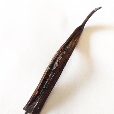 Vanilla Finished Product 101232 T960