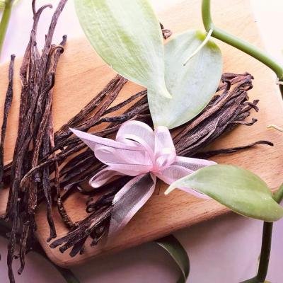 Vanilla Finished Product25515 T