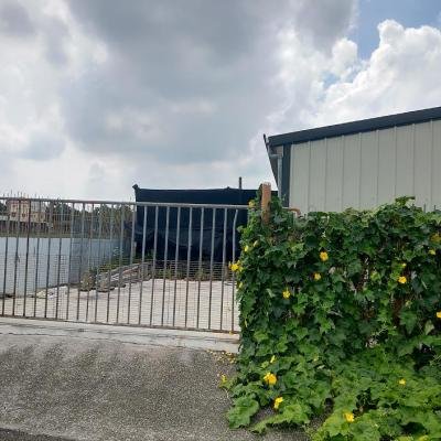 Vanilla Plant 1 Environment 110005 940