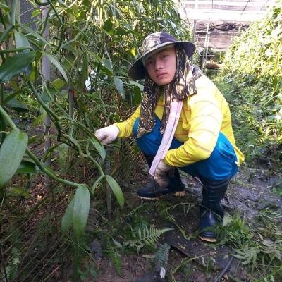 Vanilla Artificial Weeding 071827 T940